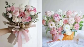 BB1d2h5u.webp