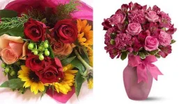 BB1d2h5v.webp