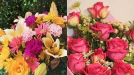 BB1d2lNf.webp