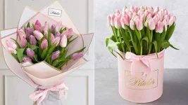 BB1d2tVu.webp