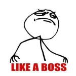 likeabossmeme.webp