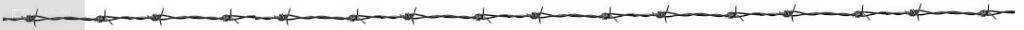 BARBWIRE_zps5a5e8c59.webp