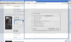 ss2.webp