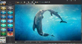 effect.webp