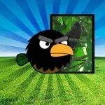 black-hooded-coucal-pinoy-angry-birds.webp