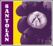 Santolan-+-LRT-2-+-HistoRiles.webp