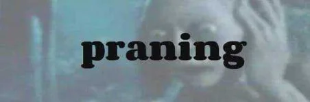 praning-slang-word-origin.webp