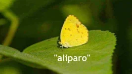 sinaunang-tagalog.webp