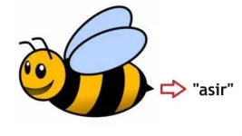 tagalog-words-you-didnt-know-exist.webp