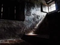 23543_620x.webp
