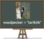 filipino-translation-of-woodpecker.webp