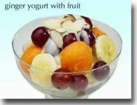 gingeryogurtwfruit.webp