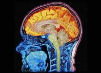 brain-virus-can-decrease-intelligence.webp brain-virus-can-decrease-intelligence.webp