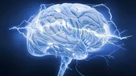 -produces-enough-electricity-to-power-a-light-bulb.webp -produces-enough-electricity-to-power-a-light-bulb.webp