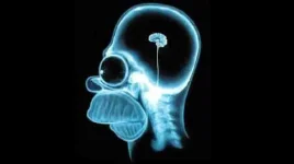 dieting-could-cause-your-brain-to-eat-itself.webp dieting-could-cause-your-brain-to-eat-itself.webp