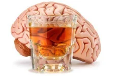 brain-react-*******.webp brain-react-*******.webp