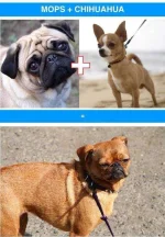 xJxEzfL.webp