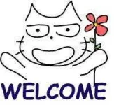 CatWelcome.webp
