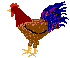 cock_birds_animation_clipart.gif