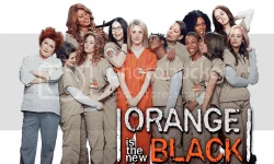 ORANGE_zpsxu5neogk.webp ORANGE_zpsxu5neogk.webp