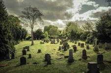 graveyard-540134.webp graveyard-540134.webp