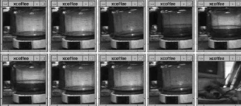 trojan-coffee-webcam.webp