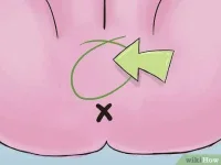 v4-460px-Wash-Your-******-Step-4.webp