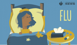 flu.gif