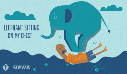 elephant.gif