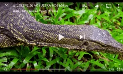 Screenshot_2016-09-02-04-31-36.webp
