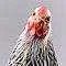 Studio_SvLcdWndt_0119_S.webp Studio_SvLcdWndt_0119_S.webp