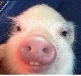 DYTvaw0VoAArmn7.webp
