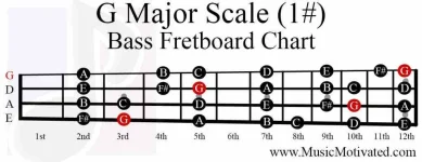 G-major-scale-bass-fretboard-notes-chart.webp