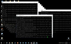 image.webp