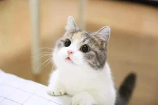 FB_IMG_1494134552786.webp