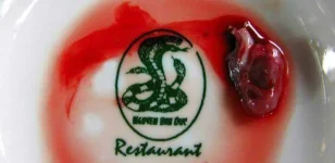 xotic-Delicacies-Around-the-World-Live-Cobra-Heart.webp xotic-Delicacies-Around-the-World-Live-Cobra-Heart.webp