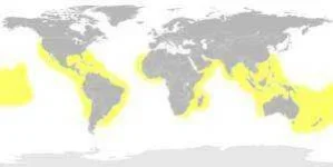 tigersharkmap-300x151.webp