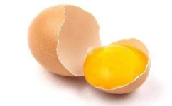 Egg-Yolks.webp Egg-Yolks.webp