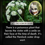 the.paranormal.guide-20181006-0002.webp