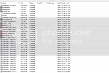 SSNEW2_zps3orlhouz.webp