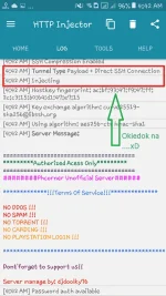 4.webp