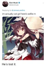 ying-to-jameslandino-im-actually-cat-girl-37211946.webp ying-to-jameslandino-im-actually-cat-girl-37211946.webp