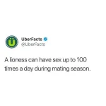 uberfacts-20181118-0002.webp