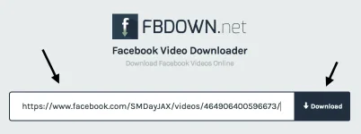 32&height=310&name=download%20facebook%20video%203.webp