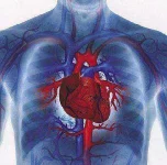 heart_disease_prevention.webp heart_disease_prevention.webp