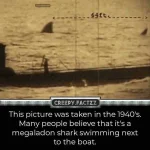 creepy-factzz-20181201-0001.webp