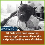amzfacts-20181201-0001.webp