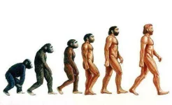 human%20evolution.webp