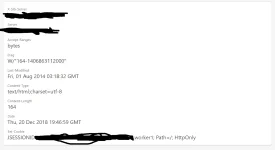 foundpayload.webp