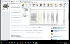 image.webp